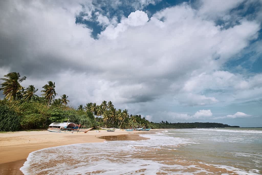 Arugam Bay