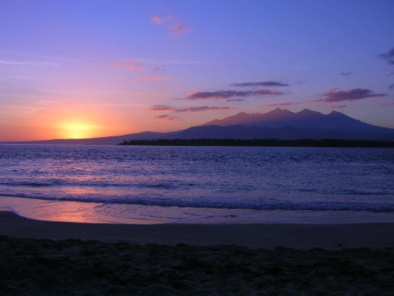 shutterstockRF1135709363.jpg