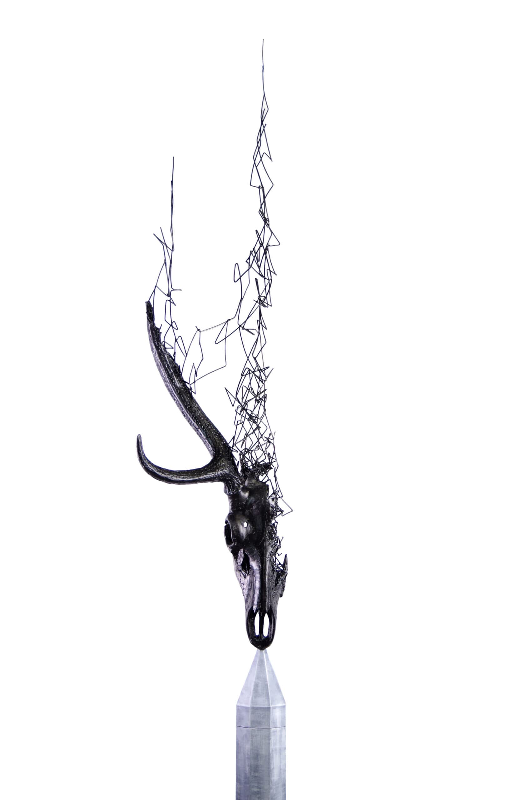 a sculpture of a deer skull on a prism with half its head missing and tendrils leading down the sky as if it is disintegrating upward