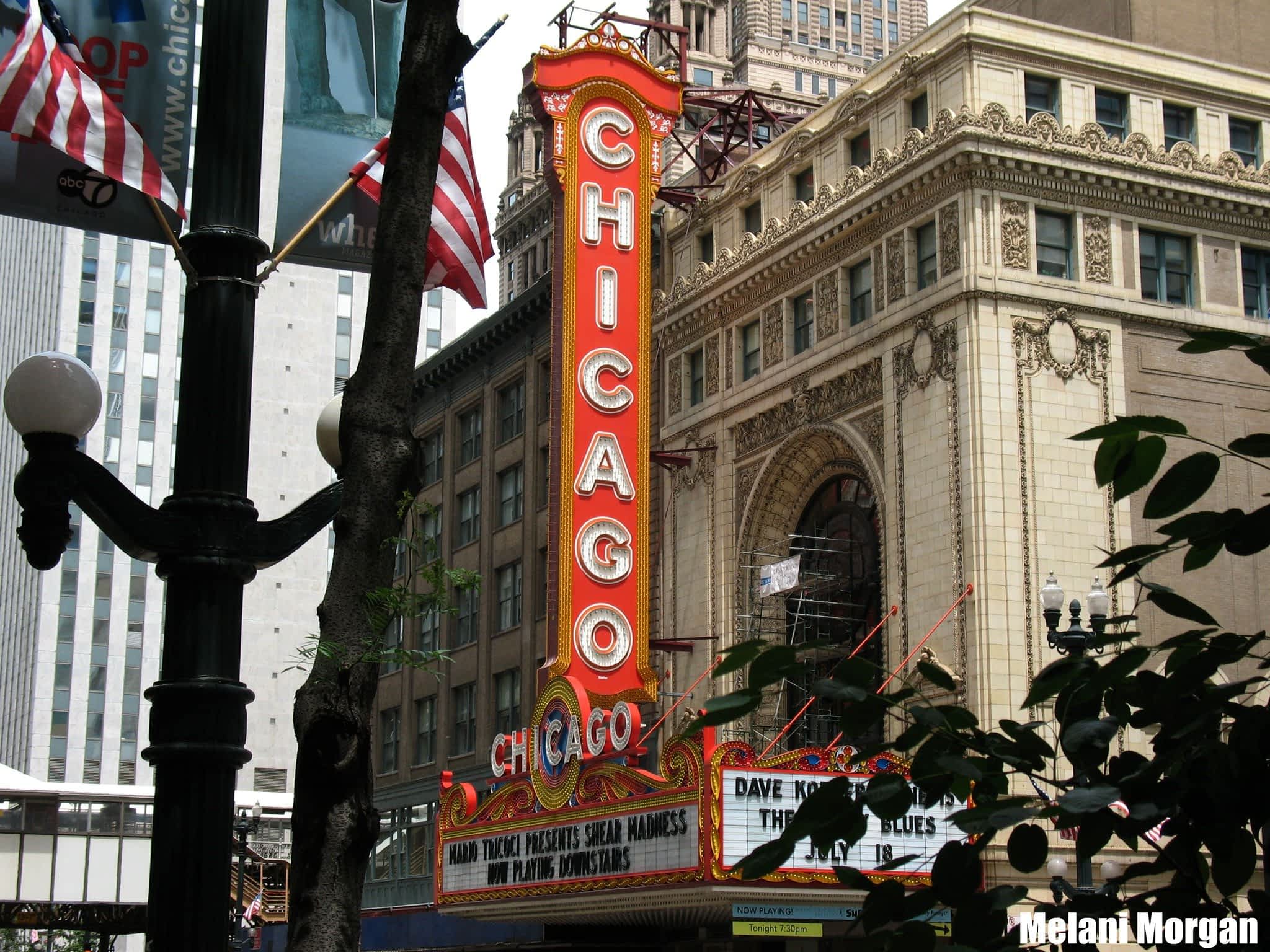 Wrigley Field, Chicago, is a baseball landmark.