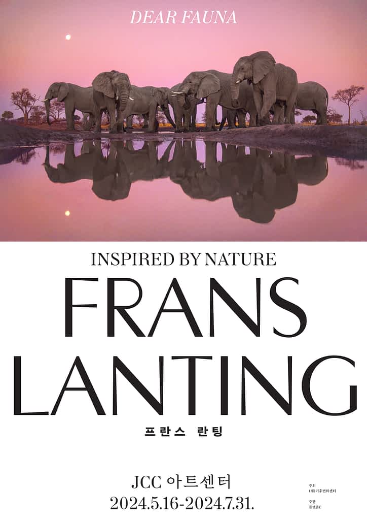 프란스 란팅 전시