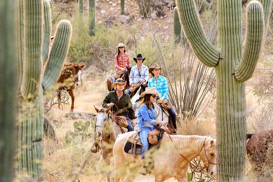 A group of people on horseback, framed by cacti, on an evening trail ride at Tanque Verde Ranch