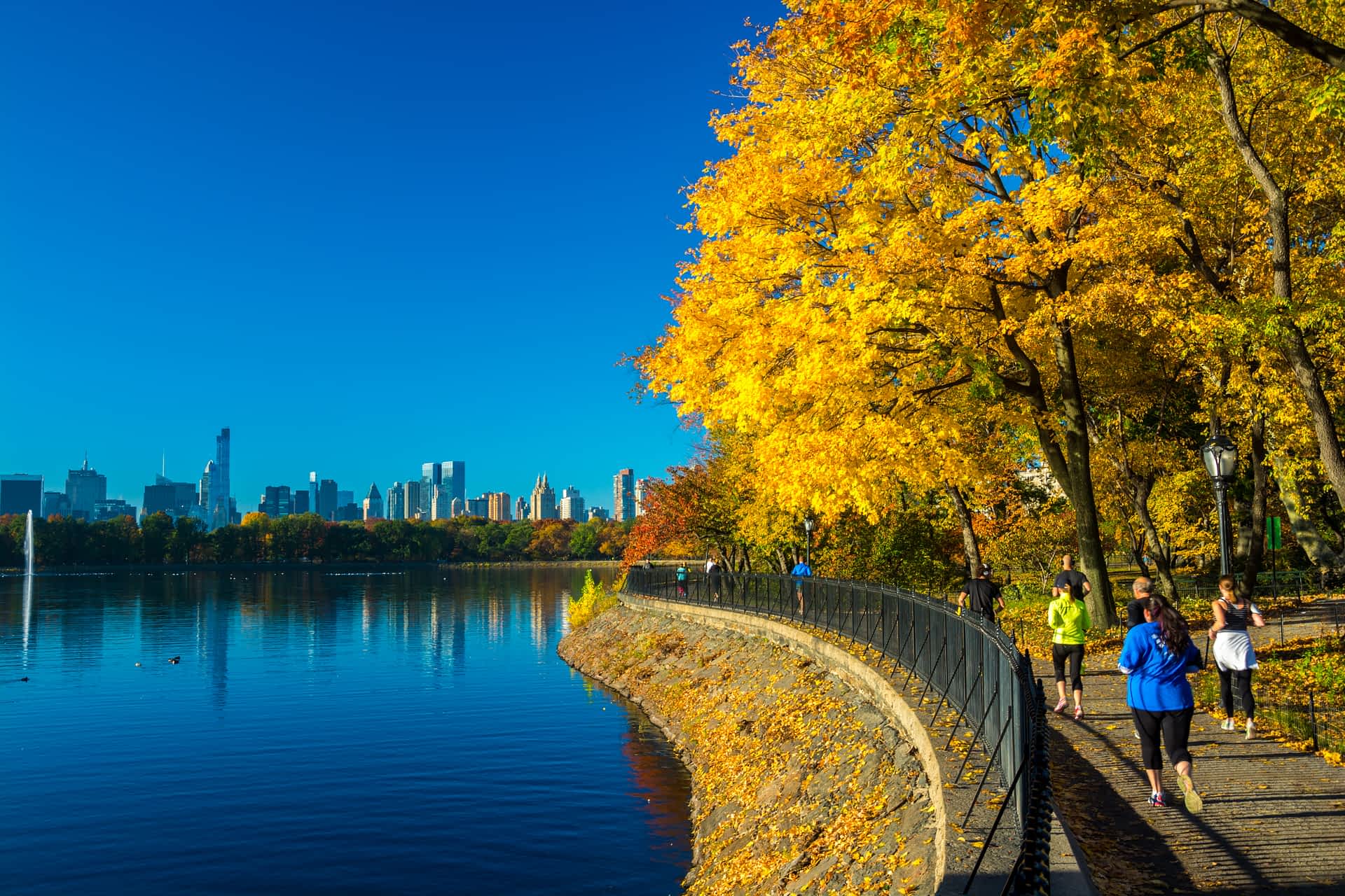 Jacqueline-Kennedy-Onassis-Reservoir-New-York-City.jpg Several people are running on a path alongside the Jacqueline Kennedy Onassis Reservoir in Central Park, New York. It's fall, and the leaves on the trees lining the path are golden yellow.