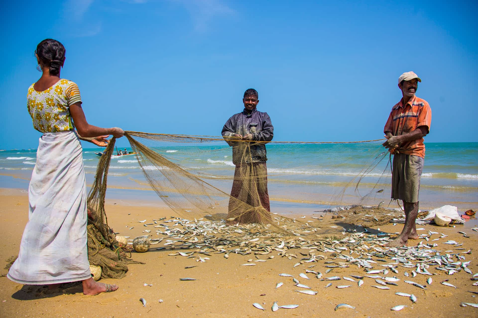 Fish haul on Nagadeepa Island in Jaffna, Sri Lanka.