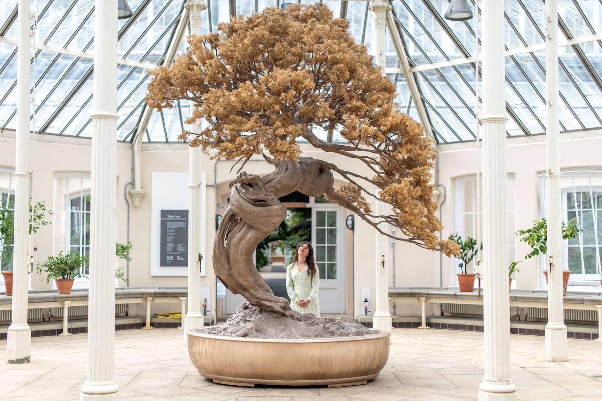 a woman looks up at a larger-than-life bronze sculpture of a bonsai inside a Kew Gardens space