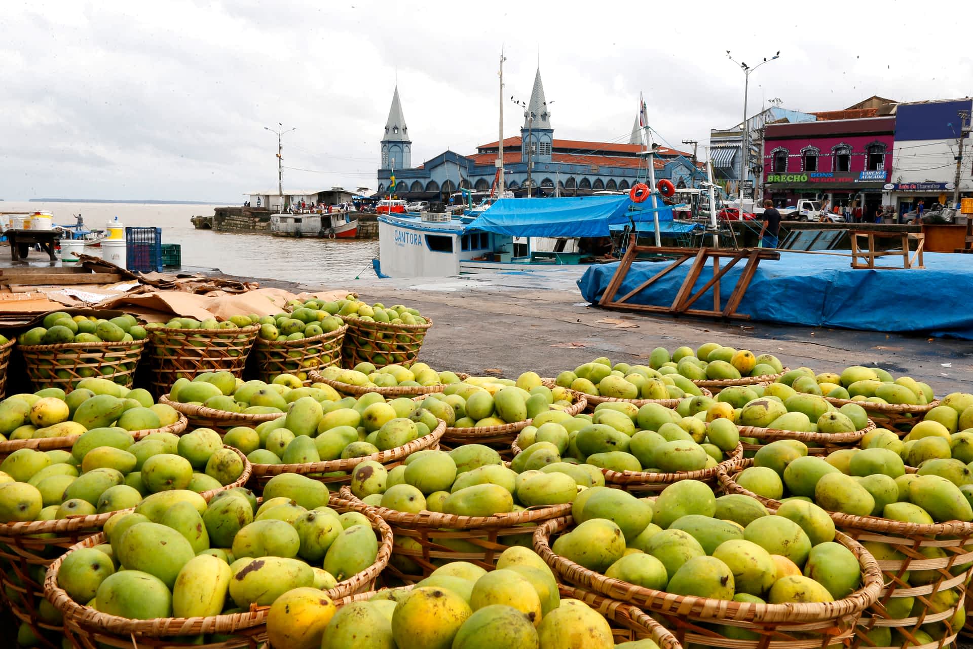 Belem Brazil Baskets with mangoes (Mangifera indica) exposed for sale at a traditional market in Brazil.
