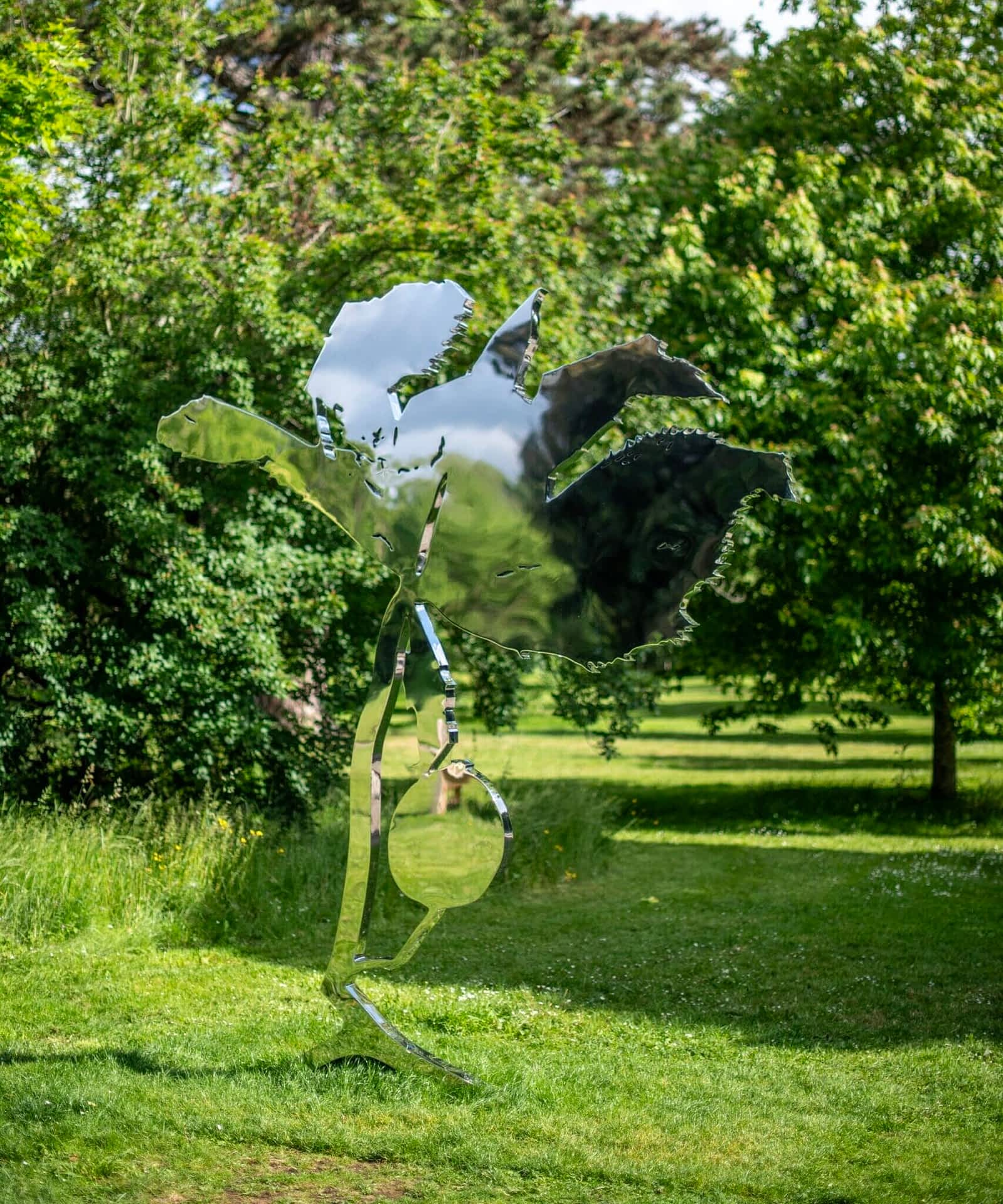 a mirrored sculpture in a green landscape depicting the outline of a Himalayan Mayapple