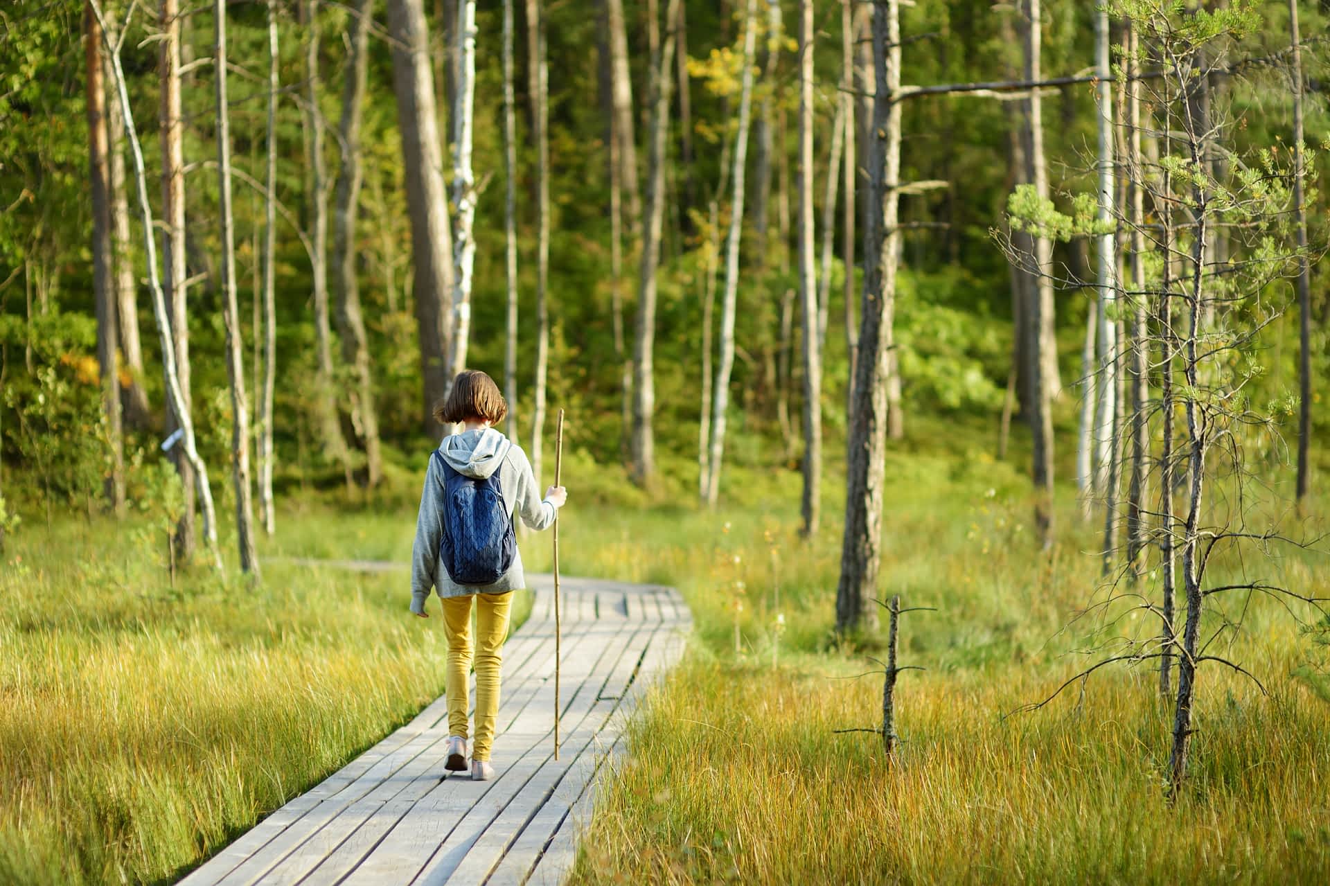 Hiking in Lithuania A girl hikes on a wooden boardwalk through woods in Lithuania