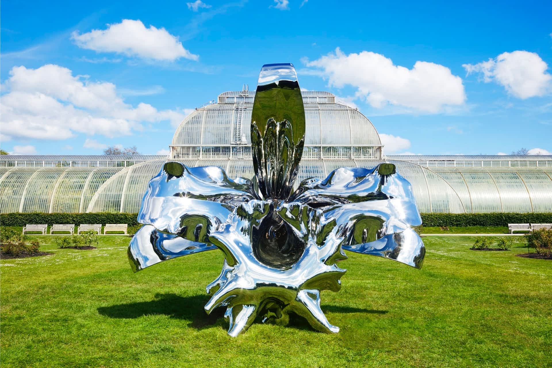 a larger-than-life orchid sculpture coated with chrome, reflecting the sun and sky on the green lawn in front of one of Kew Gardens' greenhouses