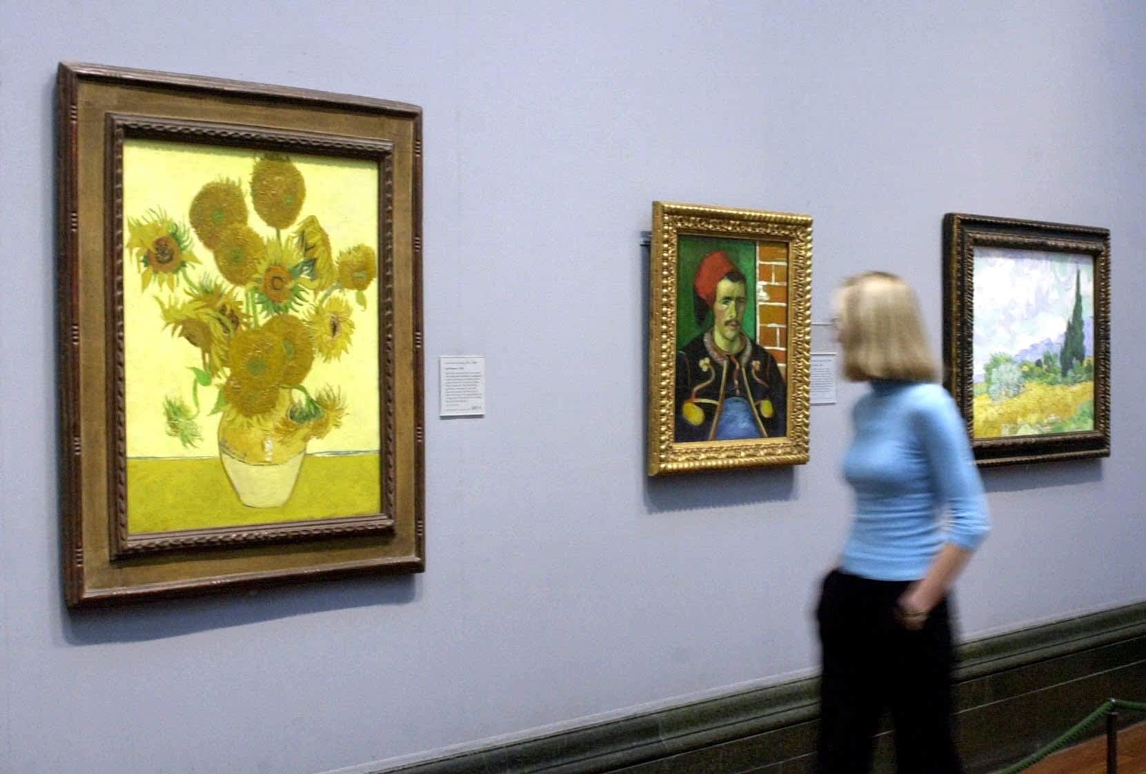 Van Gogh paintings on loan to the National Gallery A passer by views a painting of sunflowers by Van Gogh, on display at London's National Gallery.